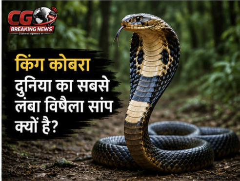 1000231122 CG Ka Sabse Tez News CG Ka Sabse Tez News
