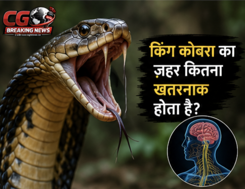 1000231123 CG Ka Sabse Tez News CG Ka Sabse Tez News