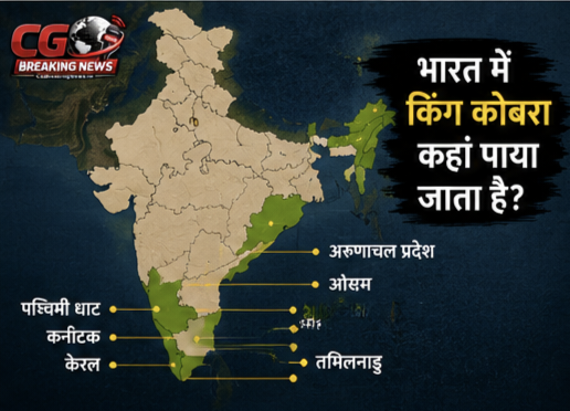1000231128 CG Ka Sabse Tez News CG Ka Sabse Tez News