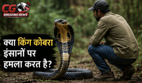 1000231142 CG Ka Sabse Tez News CG Ka Sabse Tez News