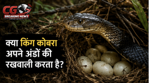 1000231144 CG Ka Sabse Tez News CG Ka Sabse Tez News