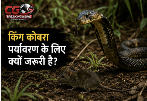 1000231145 CG Ka Sabse Tez News CG Ka Sabse Tez News