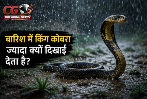 1000231146 CG Ka Sabse Tez News CG Ka Sabse Tez News