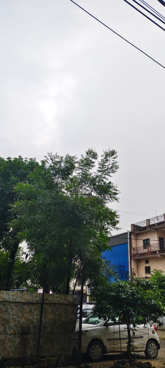 Heat Wave लगातार गर्मी और उमस
